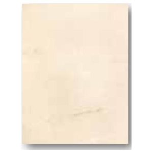 Azulejo Gresco Aster Bege 25×33,3 cm (cx. 1 m²)