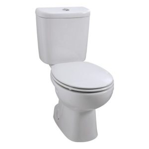 Polo Zoom Conjunto (Sanita + Tanque + Tampo) – Roca